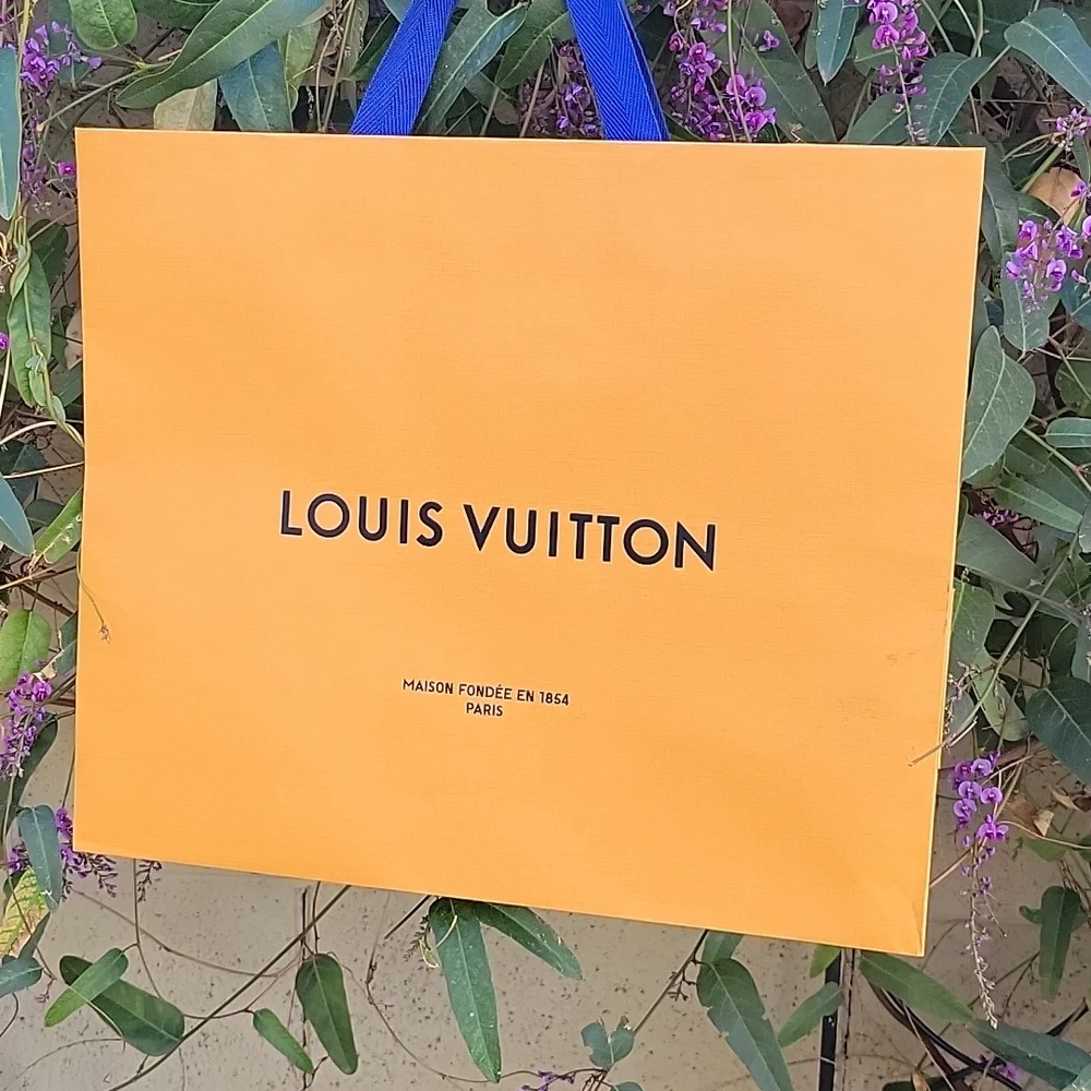 Louis Vuitton Shopping Bag